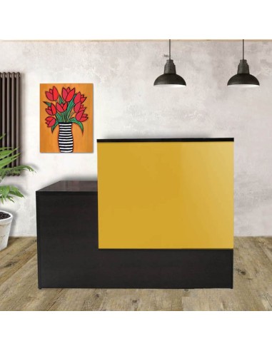 Mostrador Recepción Jabel Mini 160 ideal empresas