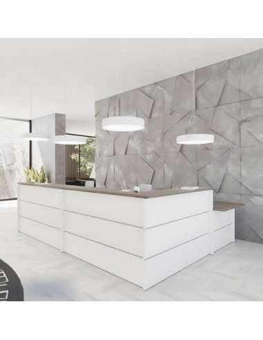 Mostrador Recepción Florida 2060 Hoteles lujosos