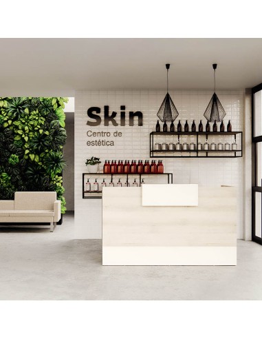 Mostrador Recepción París 120 pequeña empresa