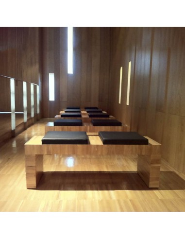 Banco Labeo Plus | Diseño Resistente